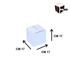 white shipping carton #1